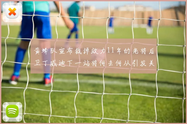 黄蜂队宣布裁掉效力11年的老将后卫丁威迪下一站将何去何从引发关注